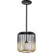 Circa 1 Light Black / Antique Brass / Black Pendant Ceiling Light, Small